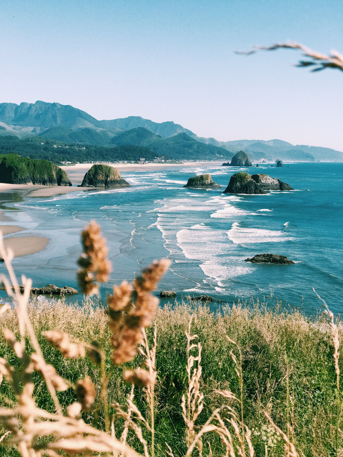 Ecola State Park